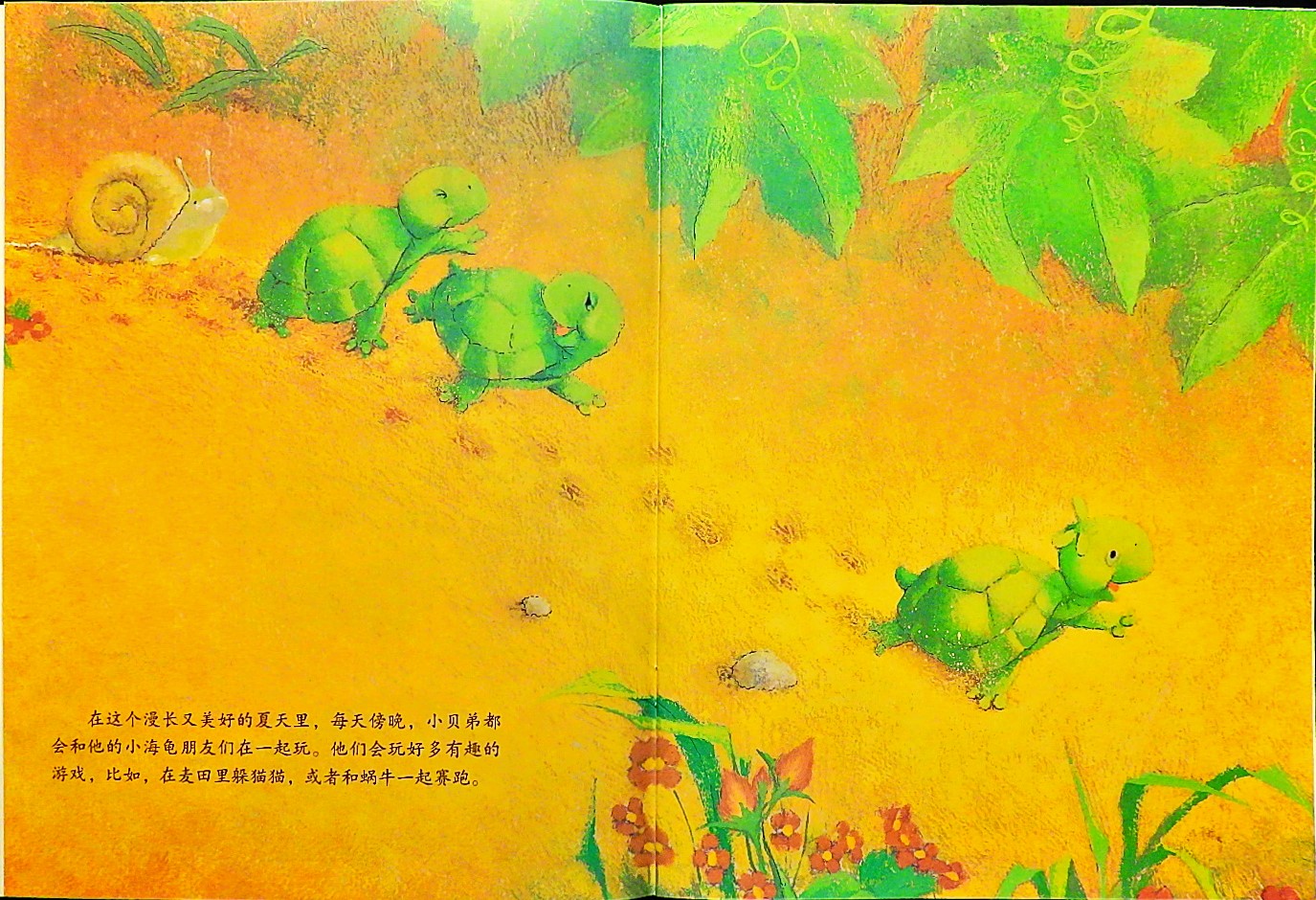 小贝弟的大梦想 (03),绘本,绘本故事,绘本阅读,故事书,童书,图画书,课外阅读